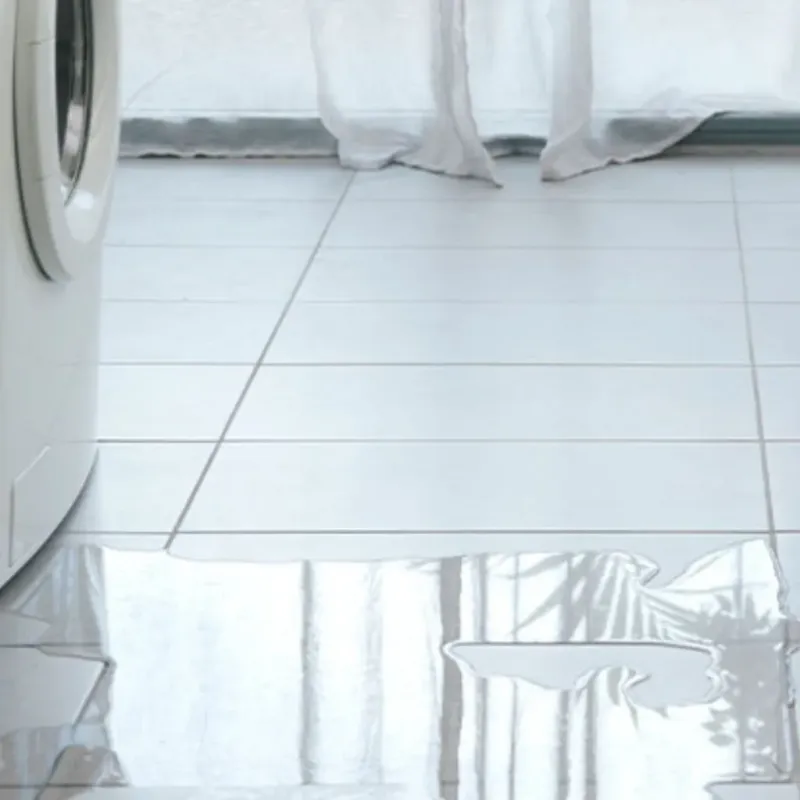 Appliance Leak Cleanup in Rowland, NC