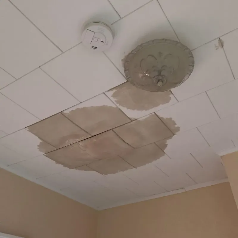 Ceiling Water Damage Repair in Rowland, NC