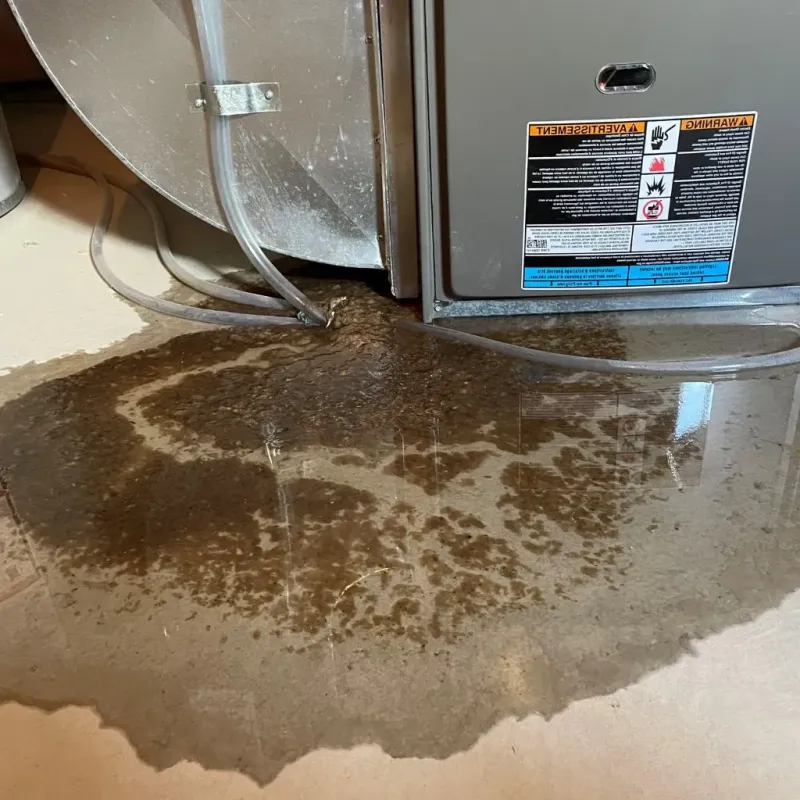 Pipe Burst and Leak Restoration in Rowland, NC