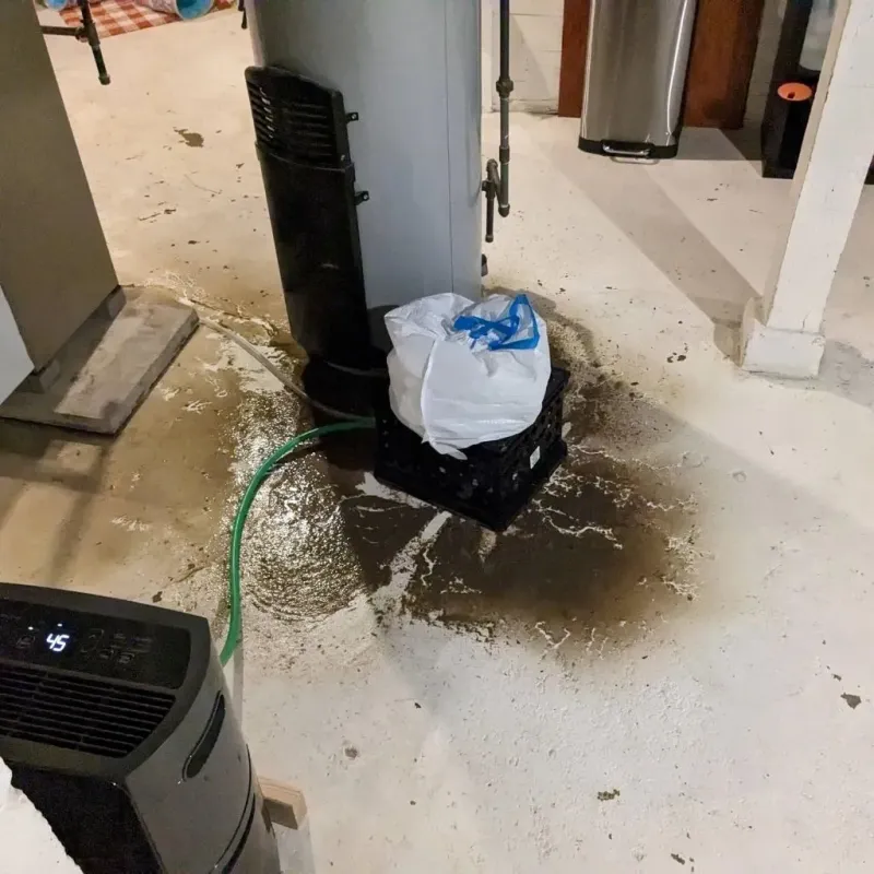 Sewage Backup Cleanup Service in Rowland, NC